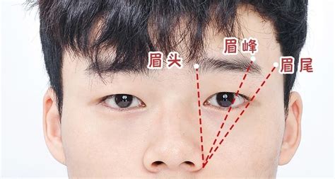 眉毛粗 男|男生眉毛類型有哪些？自然眉、一字眉⋯修眉技巧、眉。